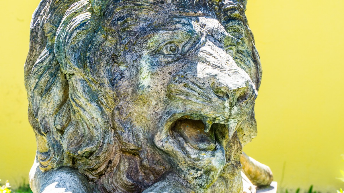 O Fotomagazin / Pregrtner Pflanzl- und Gartenkirtag 2016